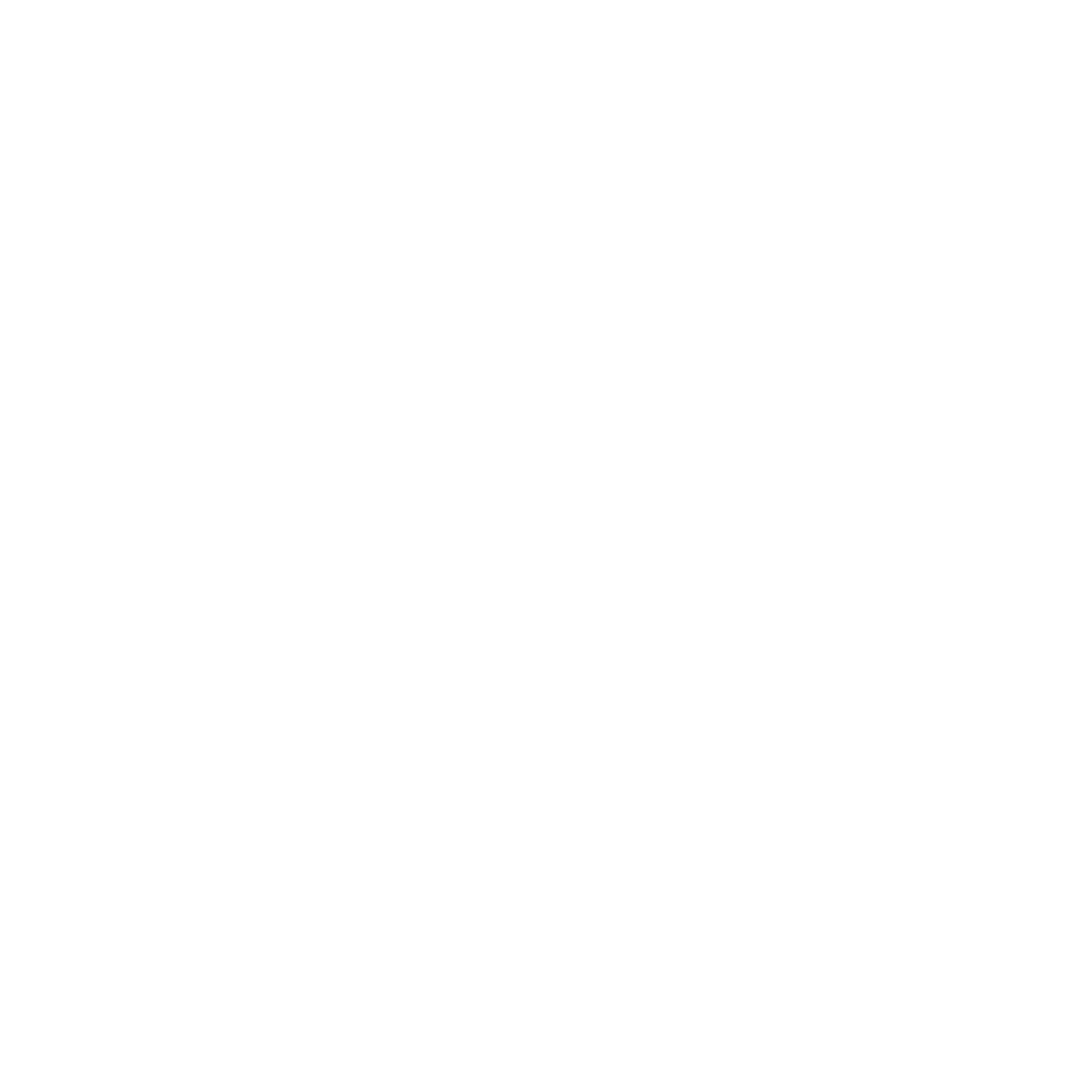 Nachhaltige Waldpflege mit Verantwortung – Mairhofer Forst sorgt für bodenschonende Forstwirtschaft und langfristige Gesundheit des Waldes.