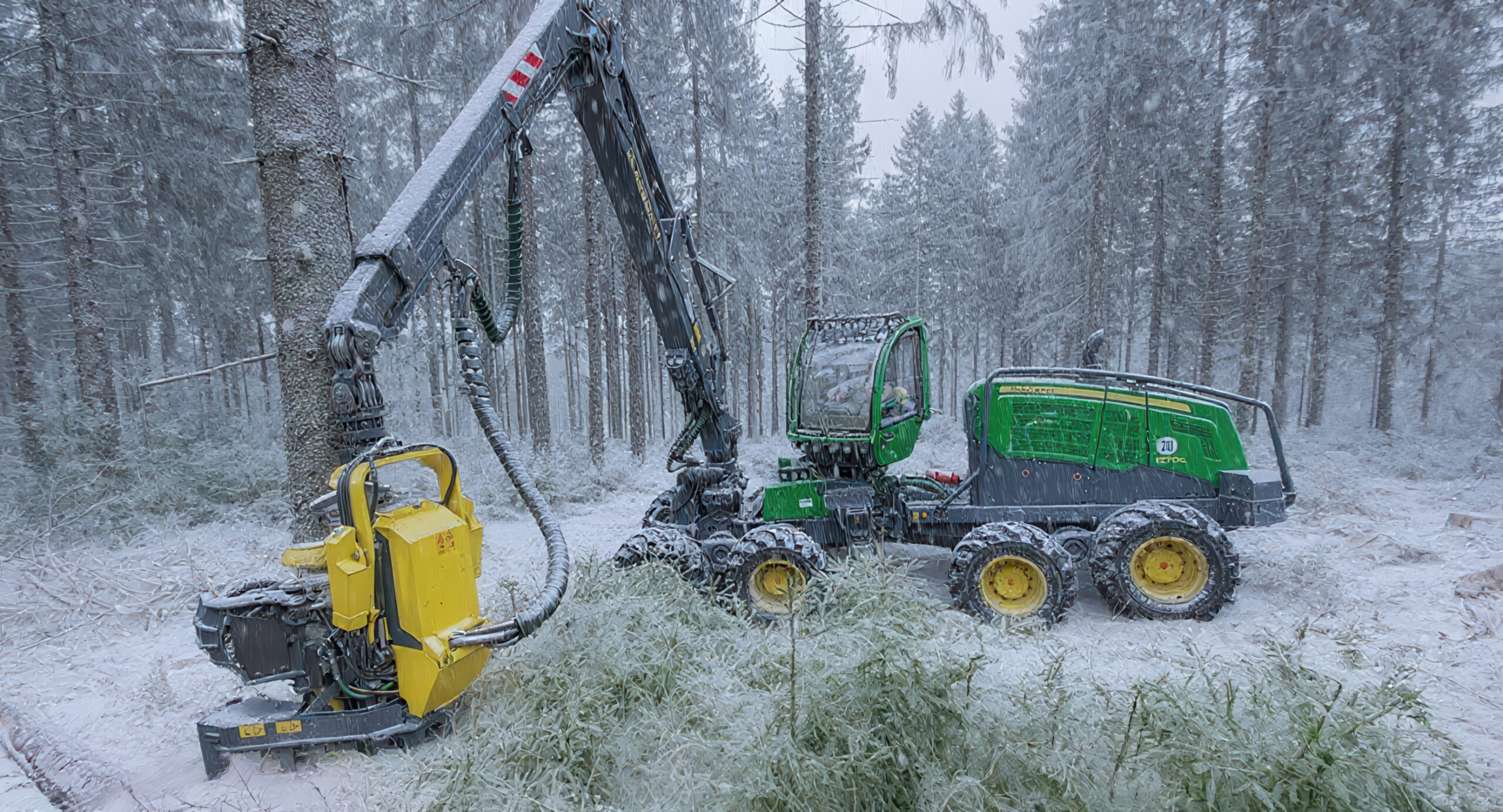 Mairhofer Forst – effiziente und waldschonende Holzernte mit moderner Technik und persönlicher Beratung für nachhaltige Waldbewirtschaftung.